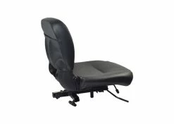 Best Sale 🛒 Golden Technologies 20"x18" Black Stadium Seat Assembly For Golden Companion I (GC240) & II (GC340, GC440) Mobility Scooters ⭐